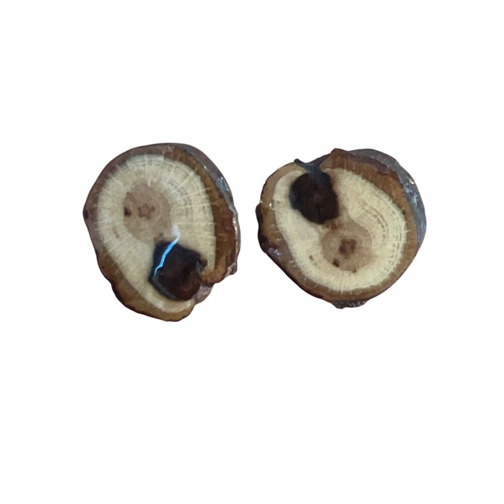 Handcrafted Wooden Tree Slice Earrings Stud Pierced OOAK Wood Ring Boho .75" New
